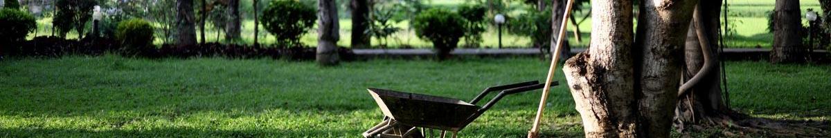 Early Fall Lawn and Garden Tips