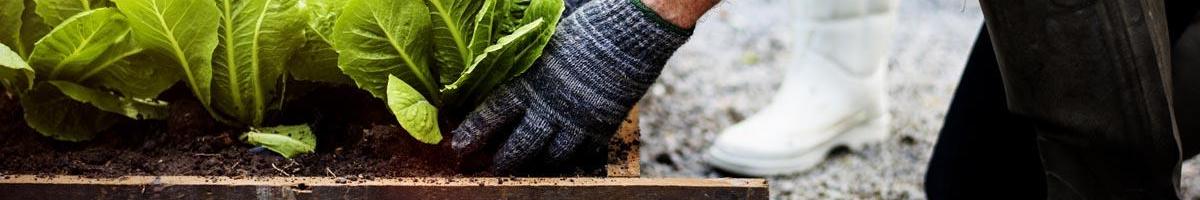 Is Homesteading Right For You? 5 Steps to Take Before Going All-In