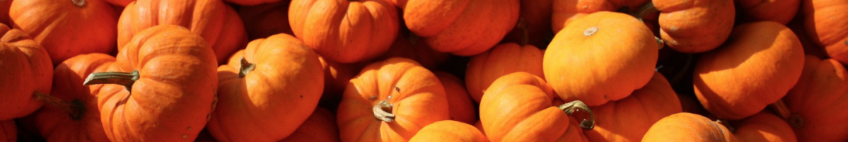 6 Ways to Recycle Your Halloween Pumpkins: