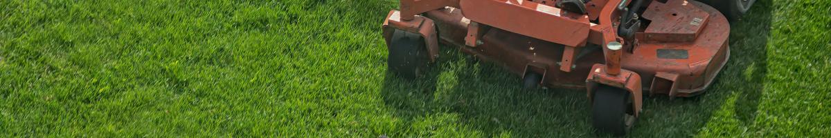 Choosing the Best Lawn Mower To Take Care of Your Yard in 2022