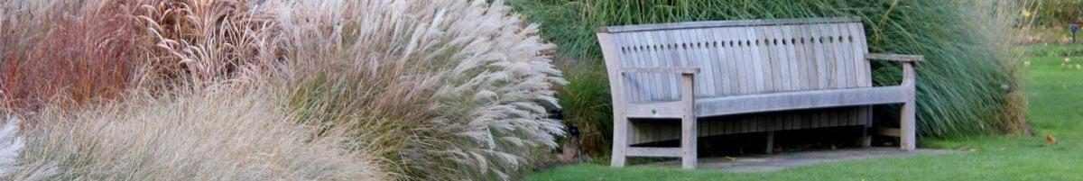 The Use of Ornamental Grass in the Landscape and Garden