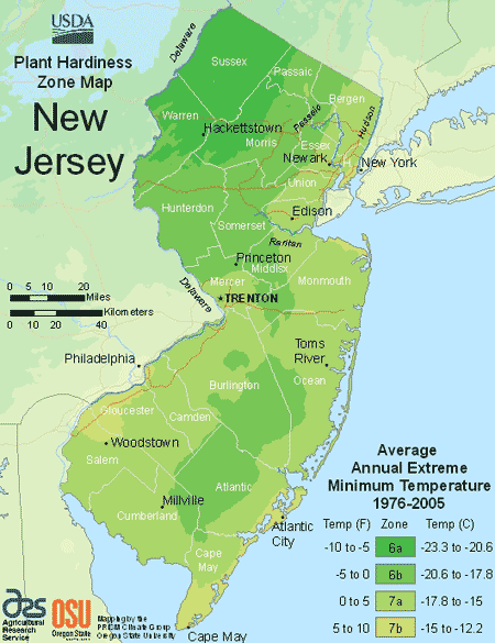 New Jersey USDA Plant Hardiness Zone Map