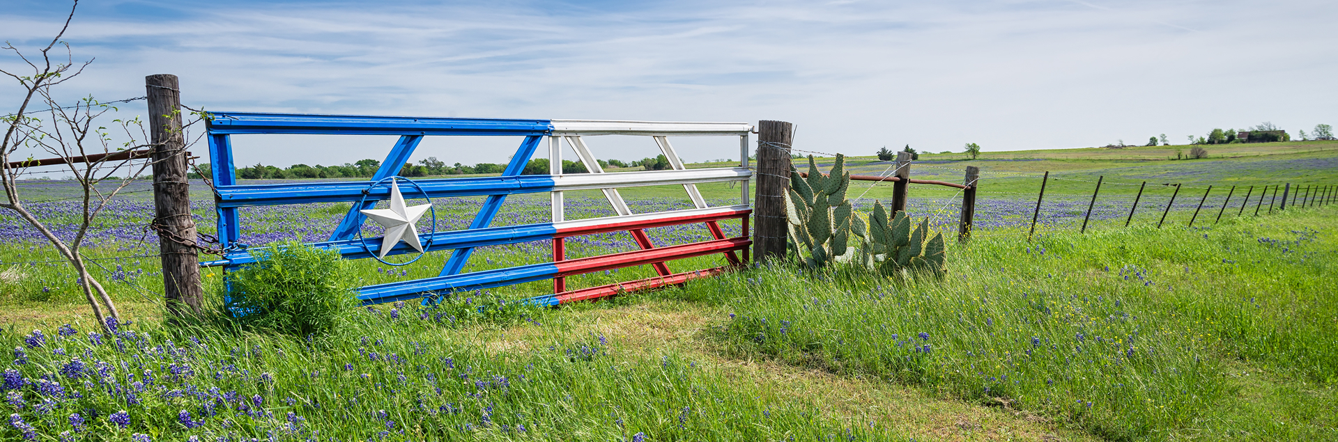Farm gate in Texas