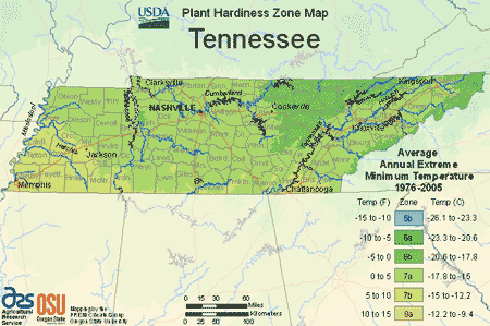 Tennessee USDA Plant Hardiness Zone Map